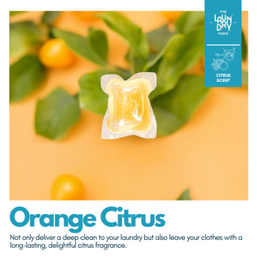 The Laundry Pods: Orange Citrus (Single Chamber)