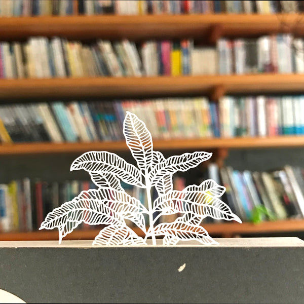 FERN ONLY: Fern Herbier Papercraft Series