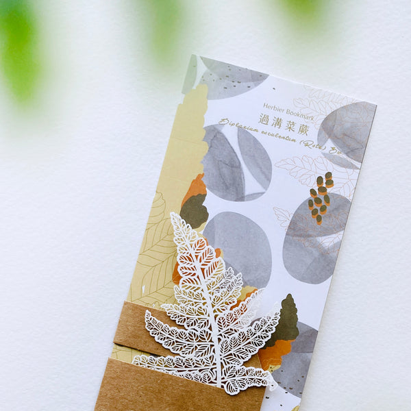 FERN ONLY: Fern Herbier Papercraft Series