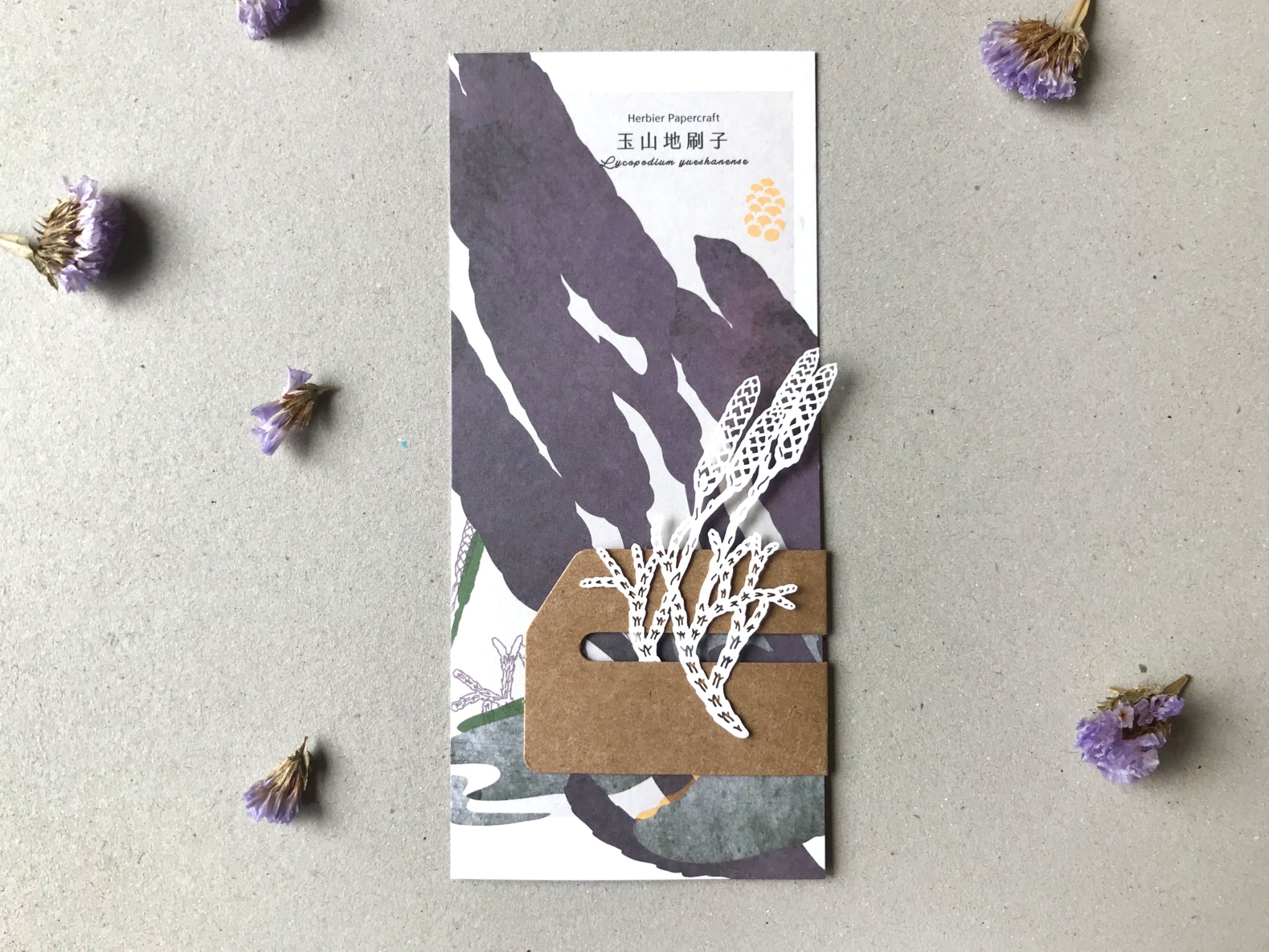 FERN ONLY: Fern Herbier Papercraft Series