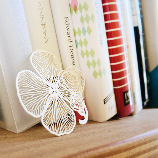 FERN ONLY: Fern Herbier Papercraft Series