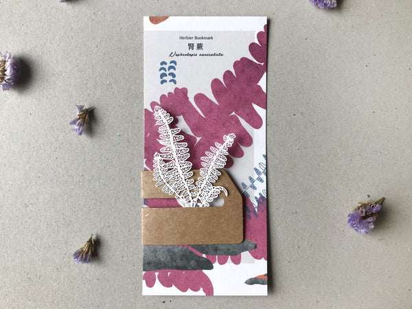 FERN ONLY: Fern Herbier Papercraft Series