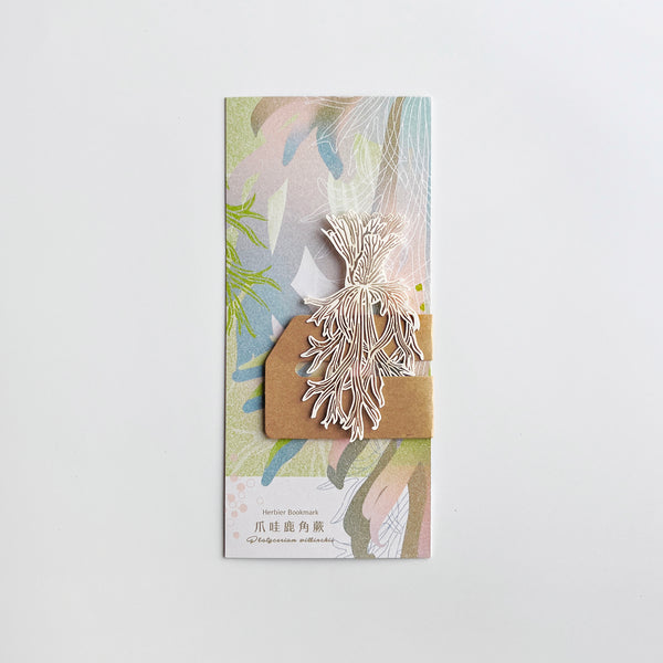 FERN ONLY: Fern Herbier Papercraft Series